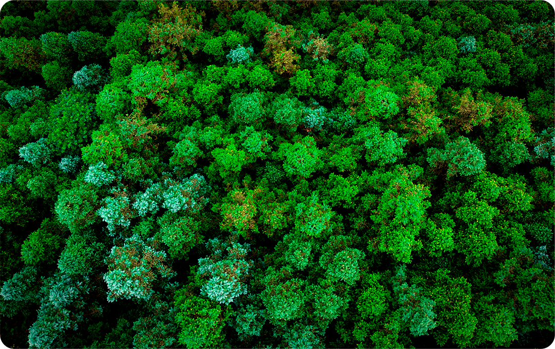 Foto panorámica Buriticá