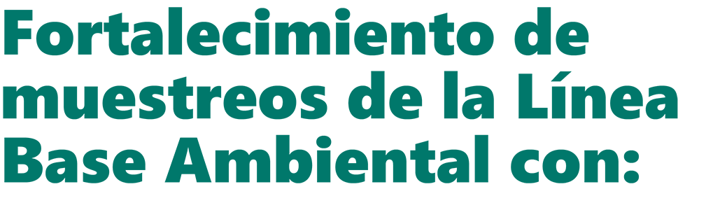 Ancha después galería