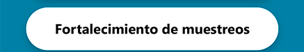 Punto 06